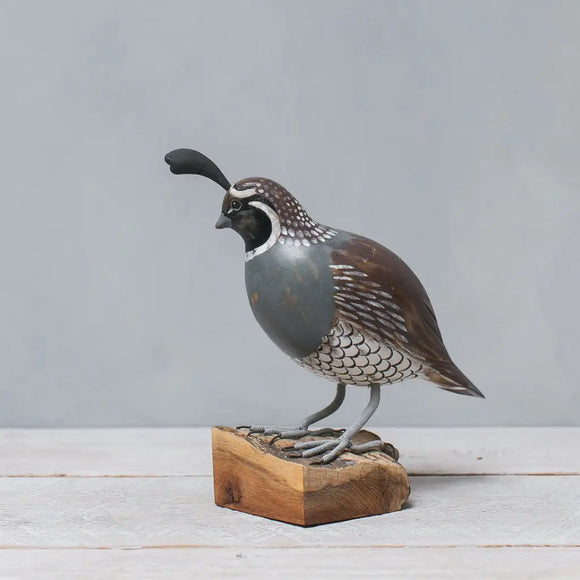 Quail - 8.5