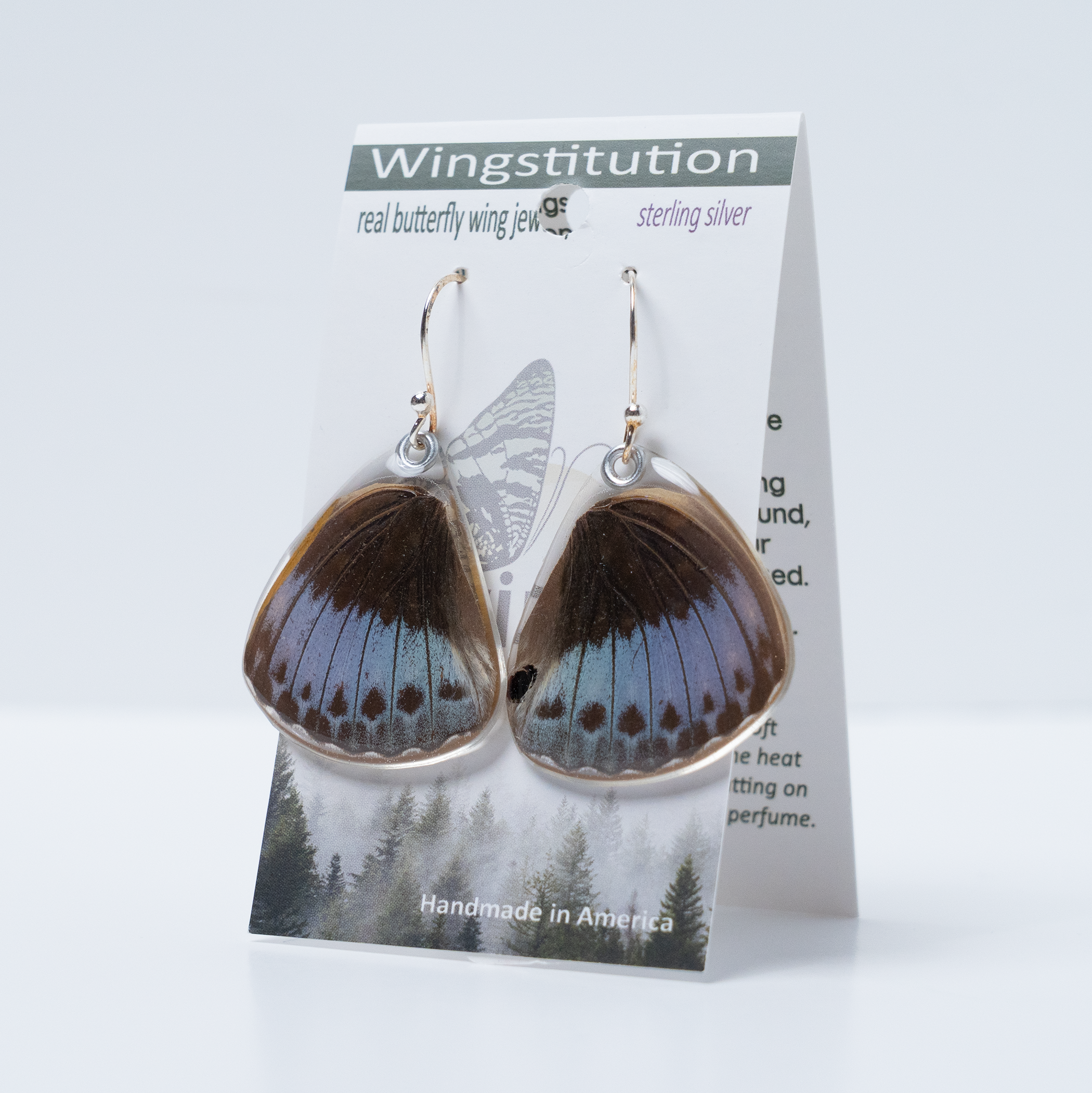 Archduke Butterfly, Bottom Wing