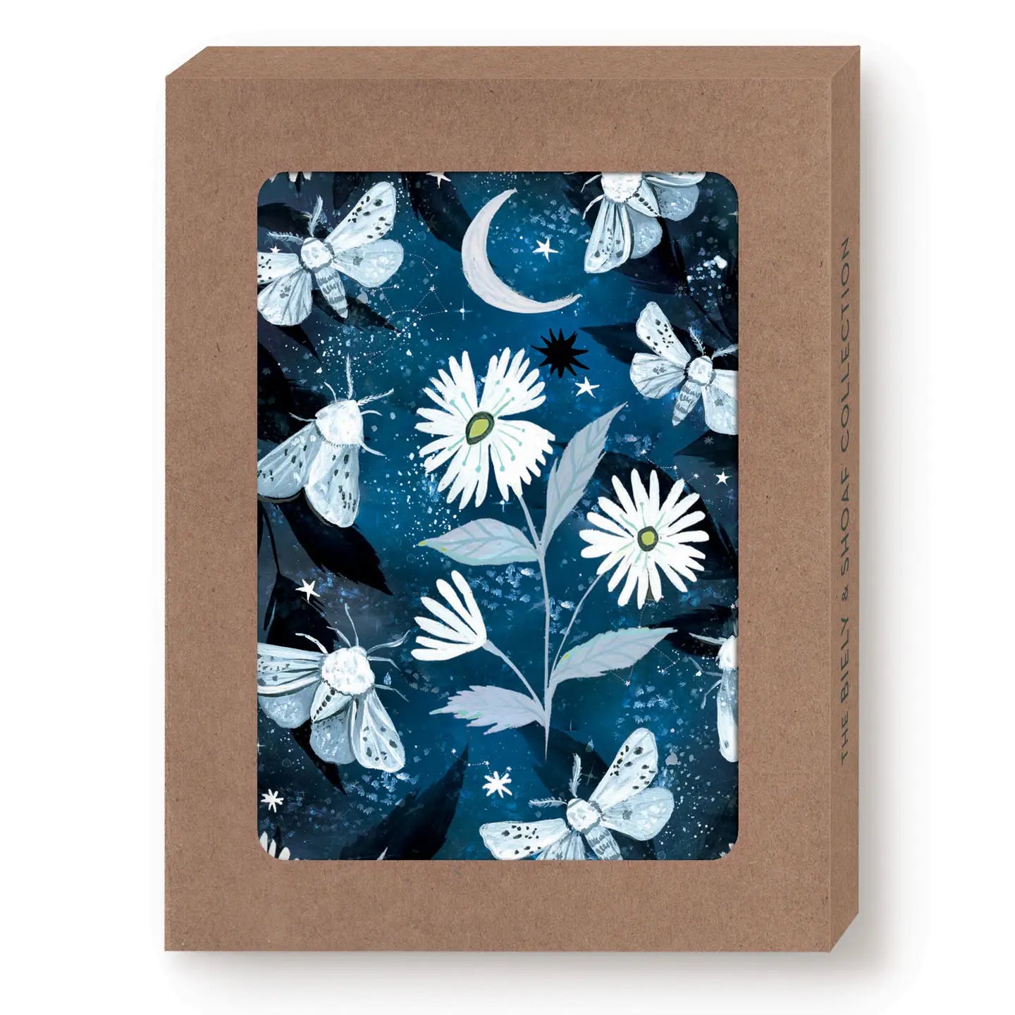 Moths Boxed Notecard - Set of 10