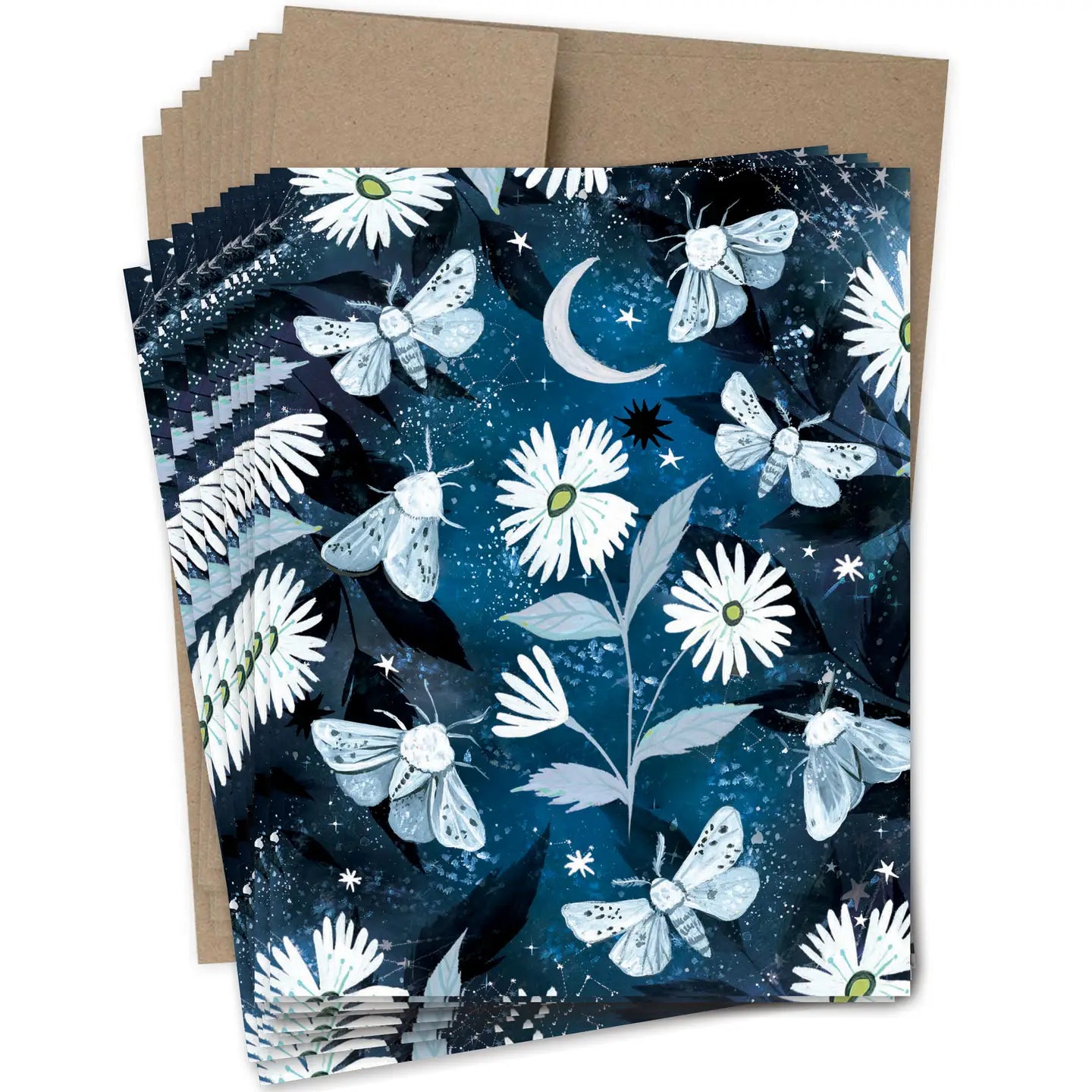 Moths Boxed Notecard - Set of 10