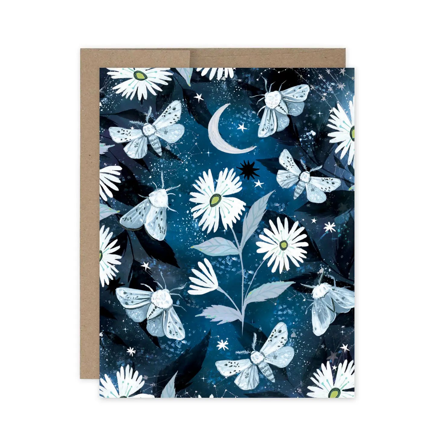 Moths Boxed Notecard - Set of 10