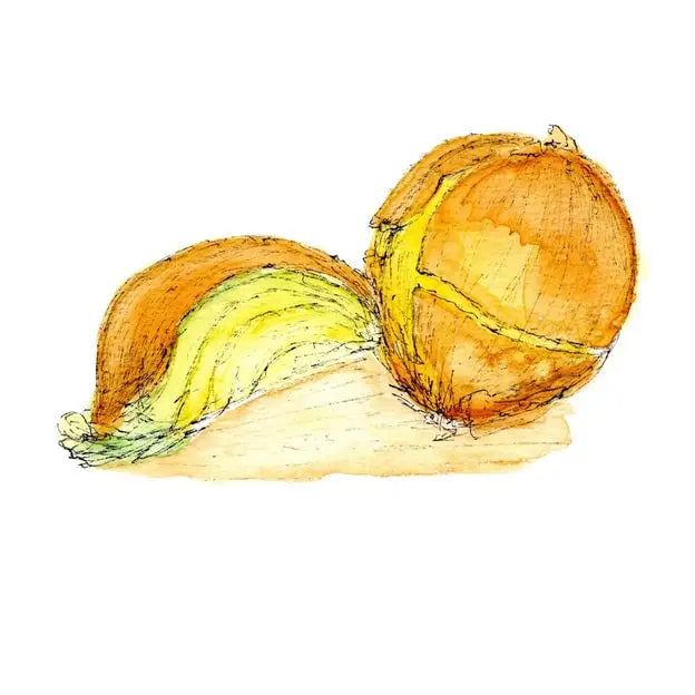 Onions Greeting Card