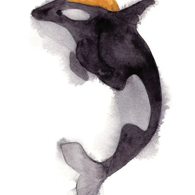 Orca Greeting Card