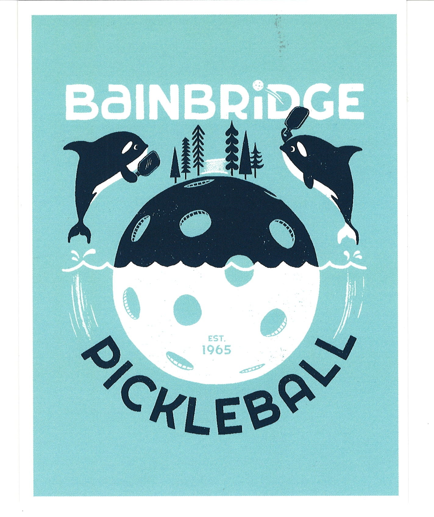 Bainbridge Island Orca Pickleball Baby Blue Postcard