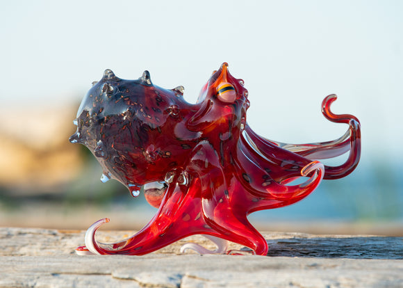 Pacific Coast Glass Octopus 11