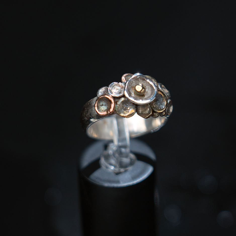 Pebbles on the Beach Ring Series