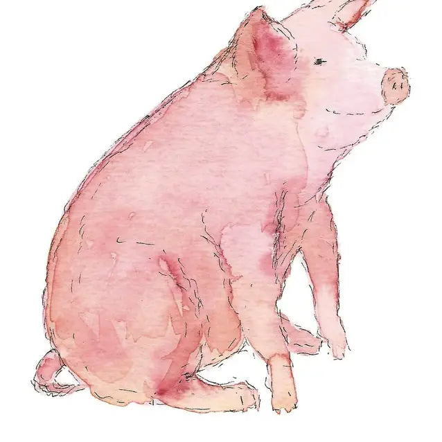 Pig Greeting Card