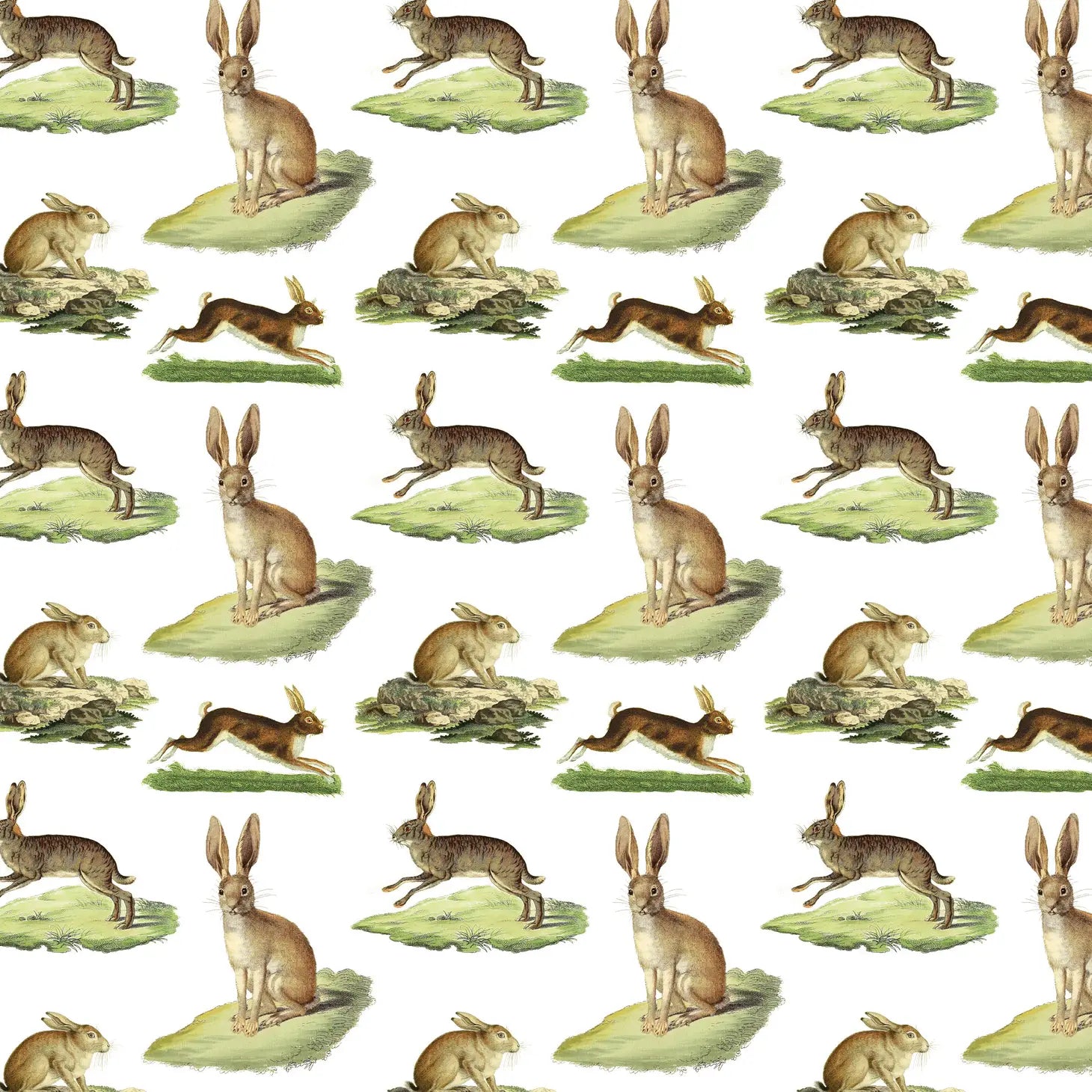 Rabbits Gift Wrap