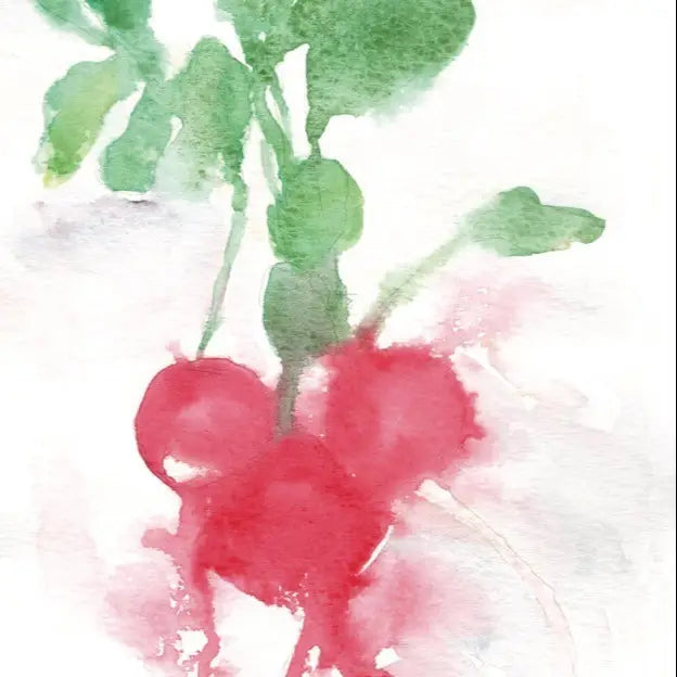 Radishes Greeting Card