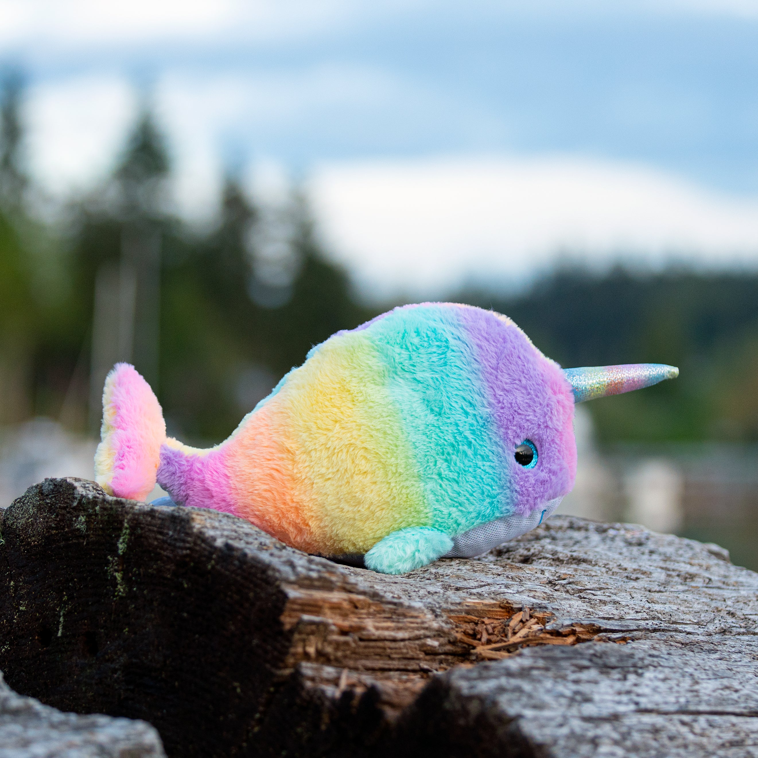 Ombrez Narwhal