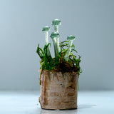 Miniature Mushroom Glass Sculptures
