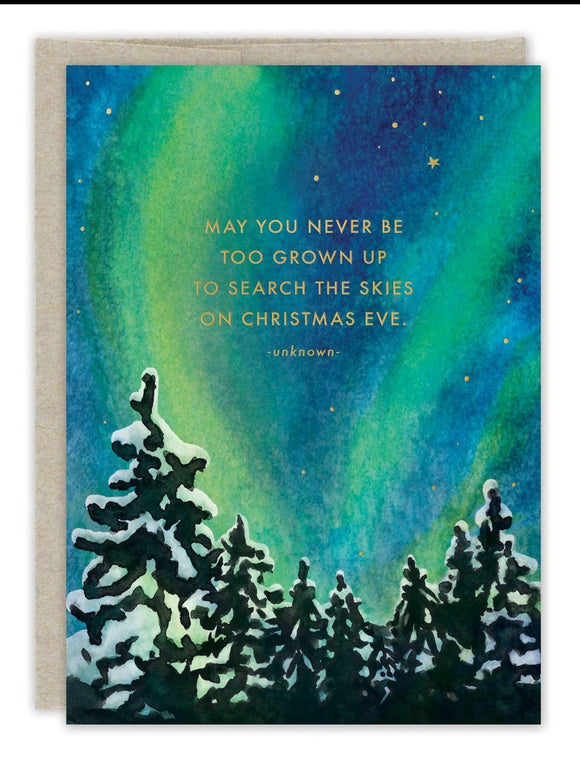 Search the Sky Boxed Holiday Cards
