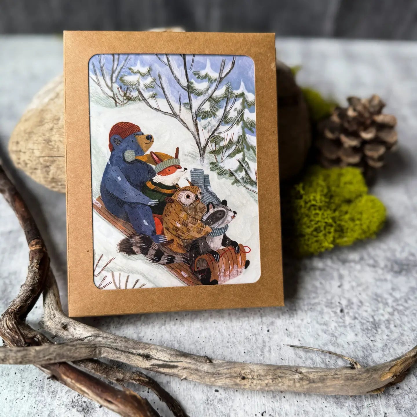 Snow Sledding Cards (Boxed Card Set)