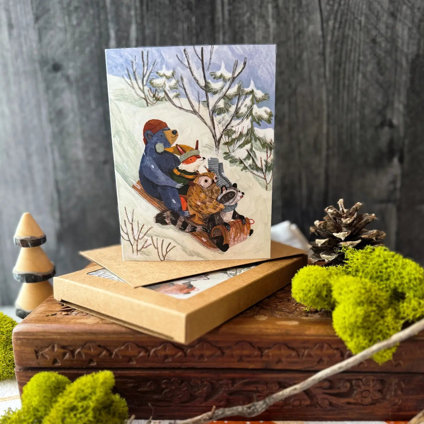 Snow Sledding Cards (Boxed Card Set)