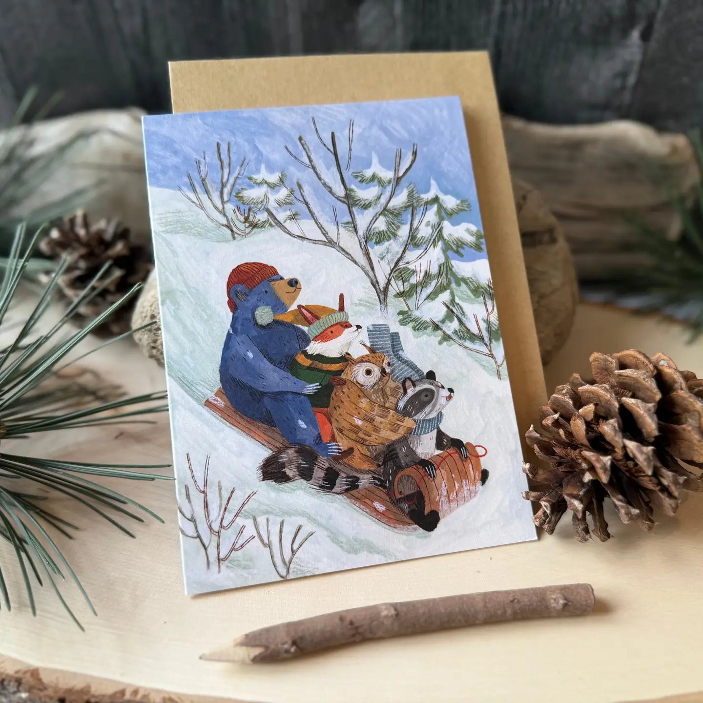 Snow Sledding Cards (Boxed Card Set)
