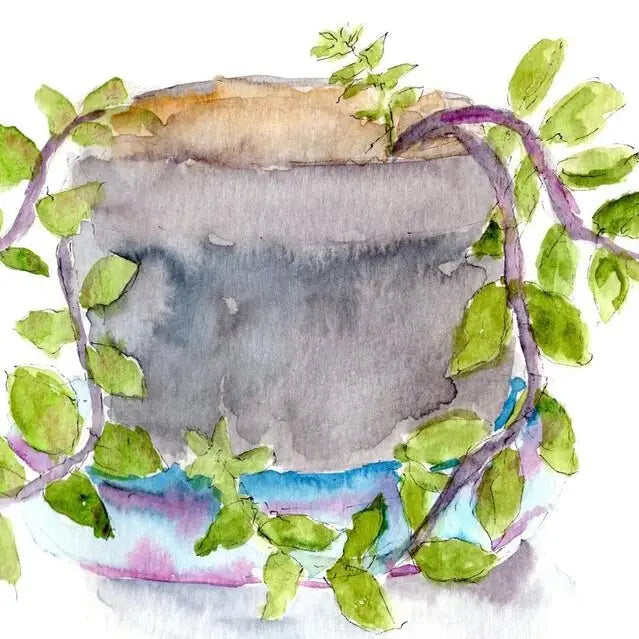 Succulent Greeting Card