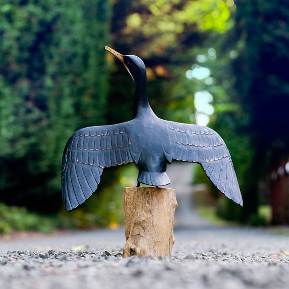 Cormorant (Sunning)