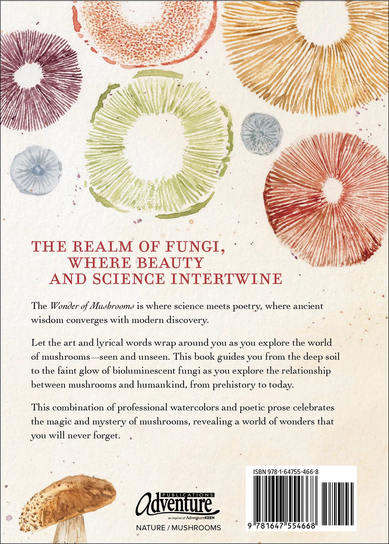 The Wonder of Mushrooms - The Mysterious World of Fungi