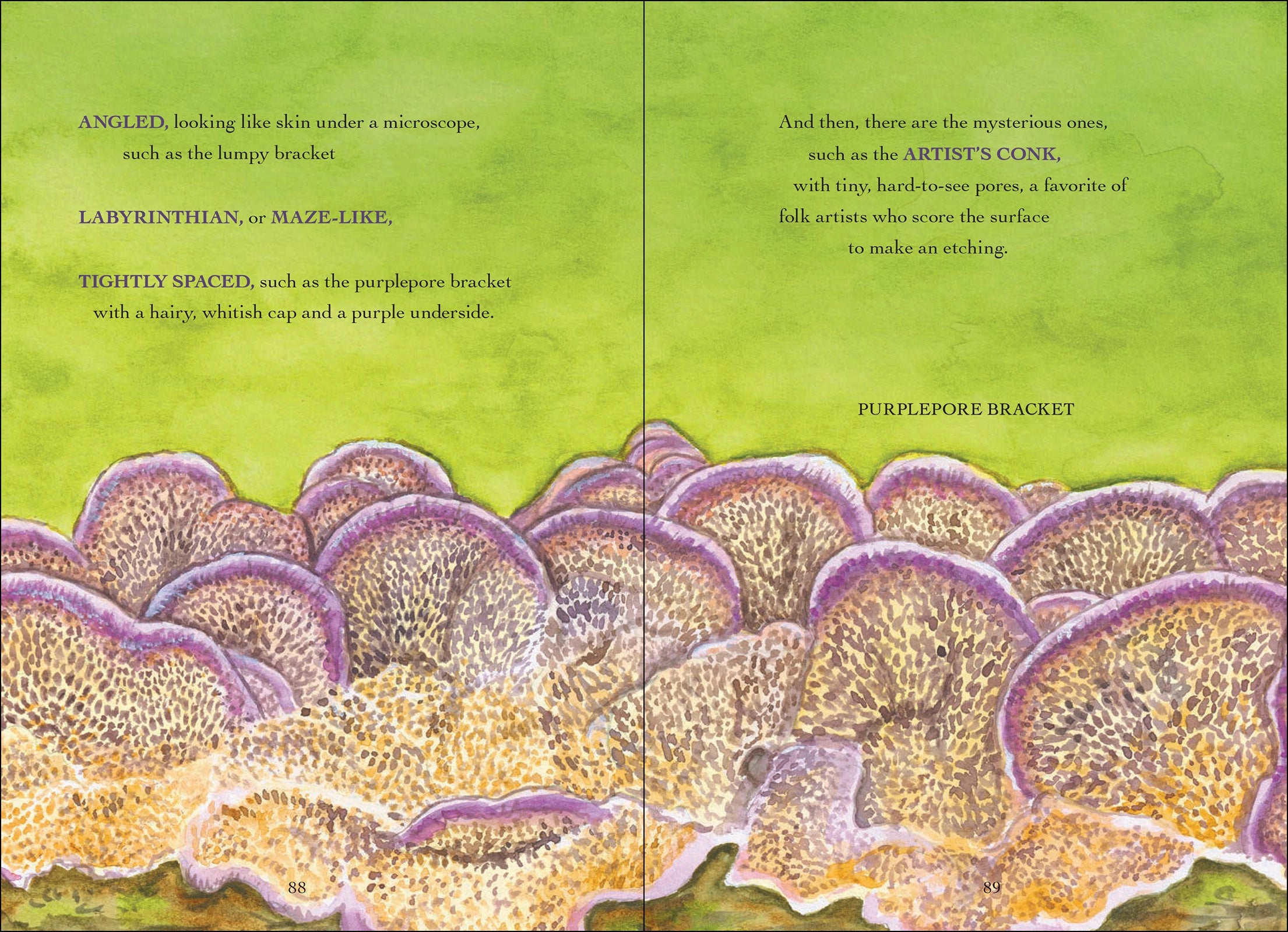 The Wonder of Mushrooms - The Mysterious World of Fungi