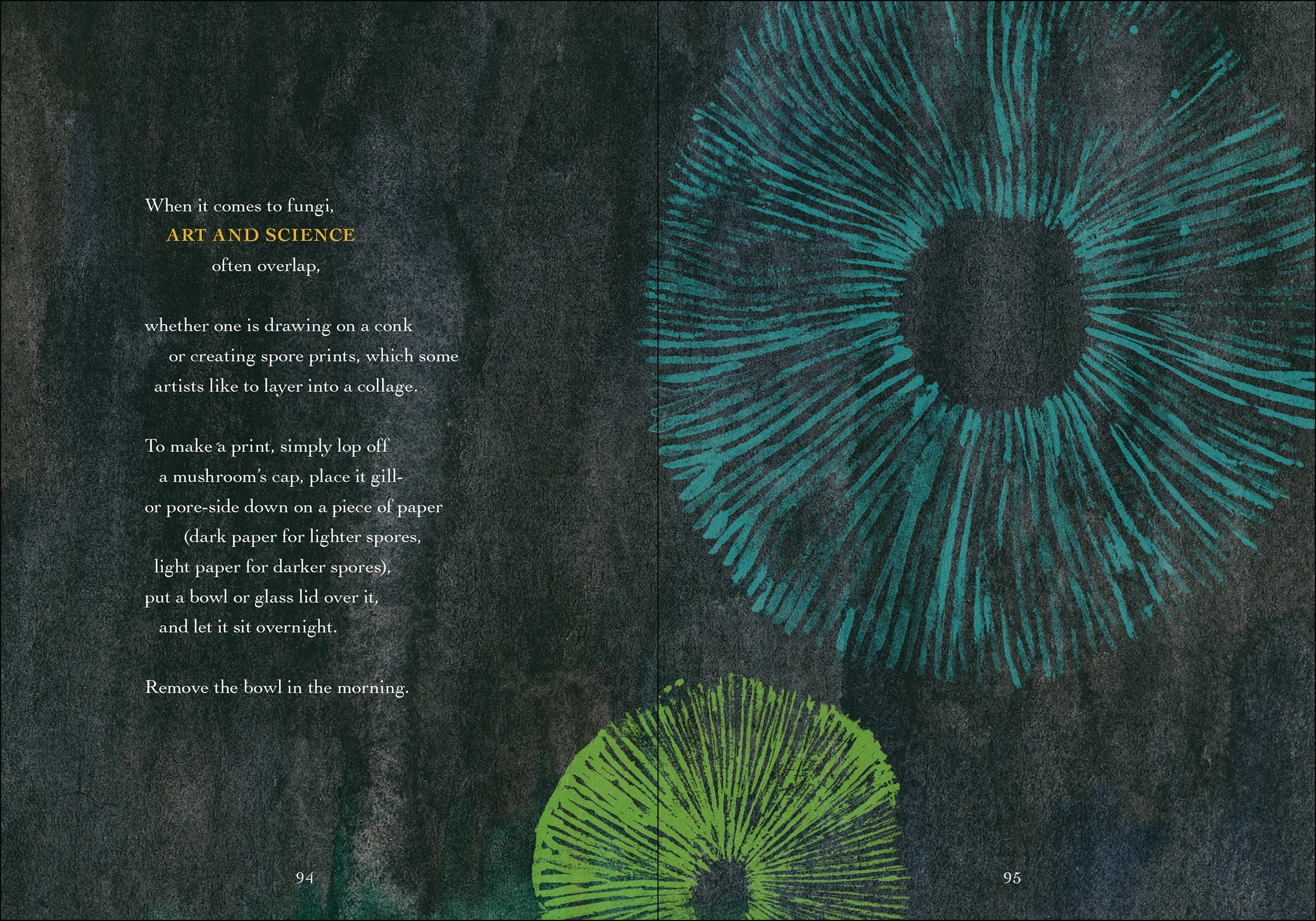 The Wonder of Mushrooms - The Mysterious World of Fungi