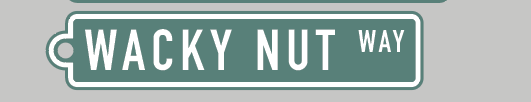 Bainbridge Island Street Sign Keychain