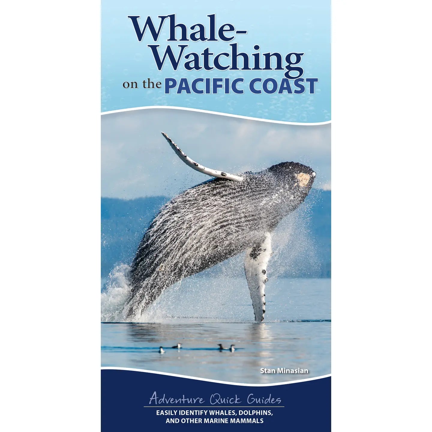 Whale Watching on the Pacific Coast