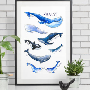 Whales Posters