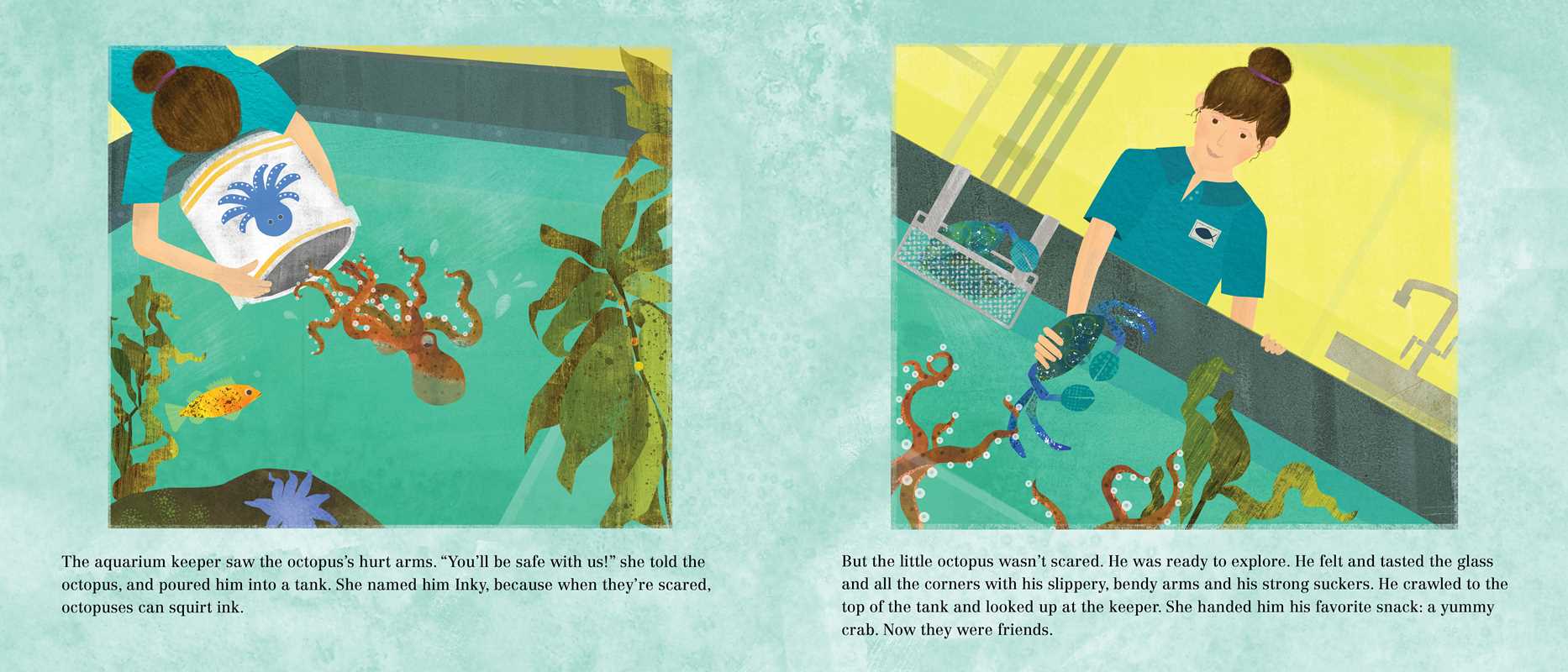 Inky's Amazing Escape by Sy   Montgomery: Paperback; 32 pages / English