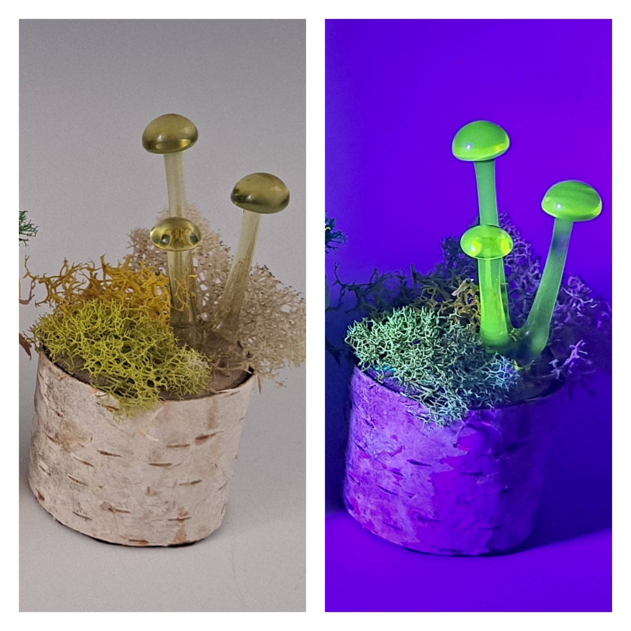 Mushroom Sculpture, UV Black Light, Made to Order: Atomic stardust