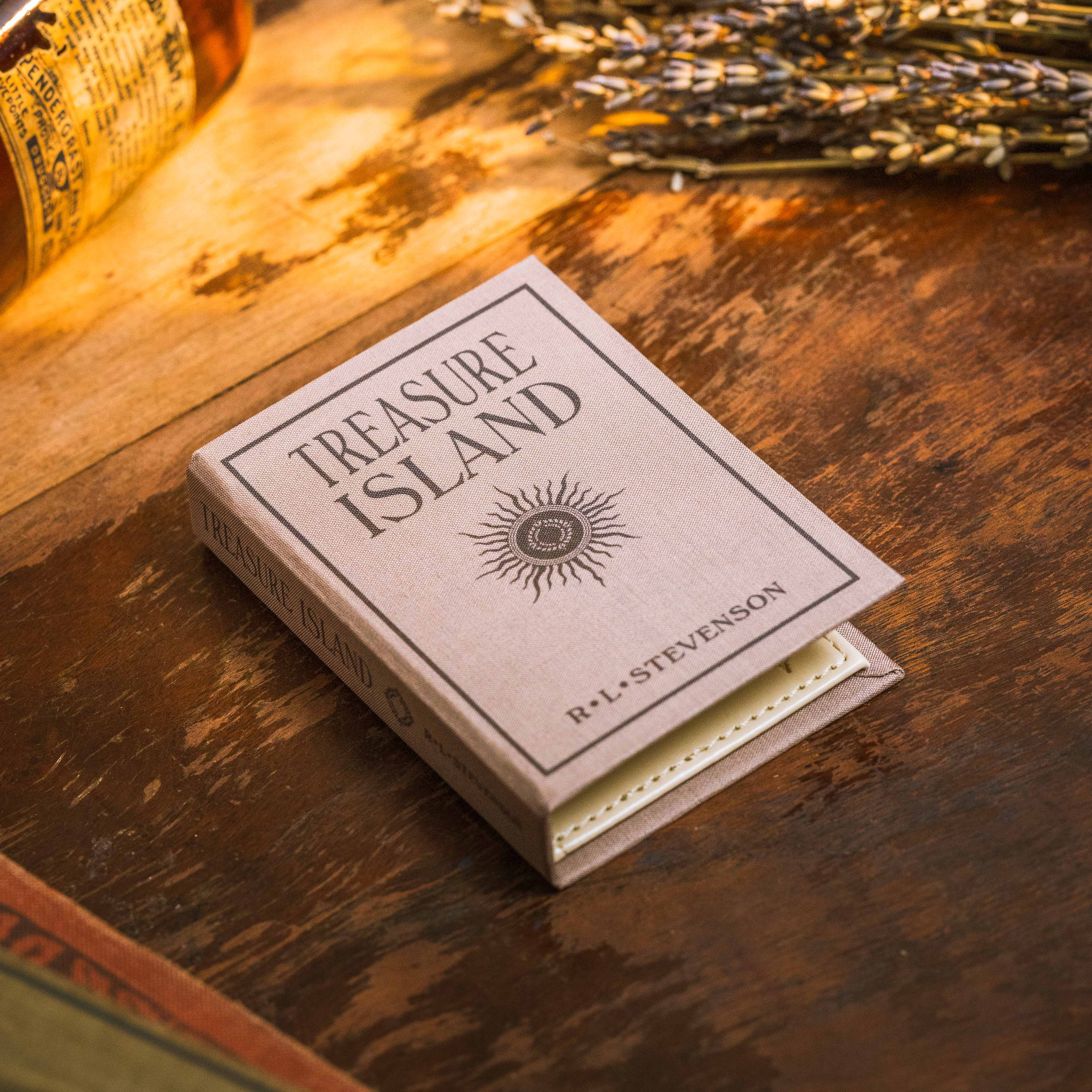 Treasure Island by Robert Louis Stevenson 1883  Book Wallet