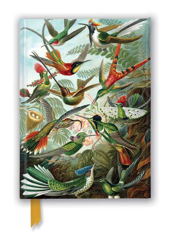 Ernst Haeckel: Hummingbirds (Foiled Journal) by: Notebook / blank book; 176 pages / English
