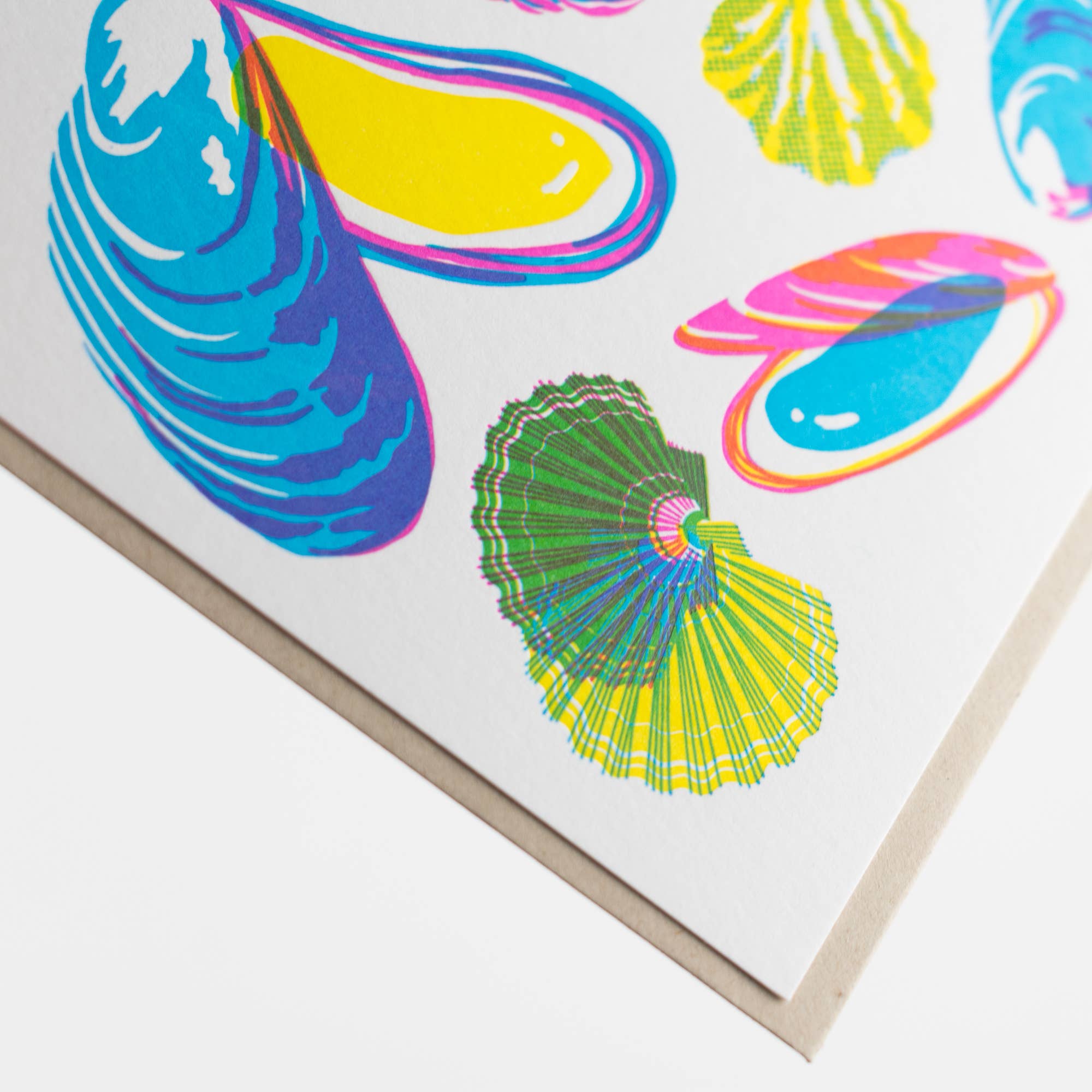 Vibrant Life Series - Molluscs Card: Single Card