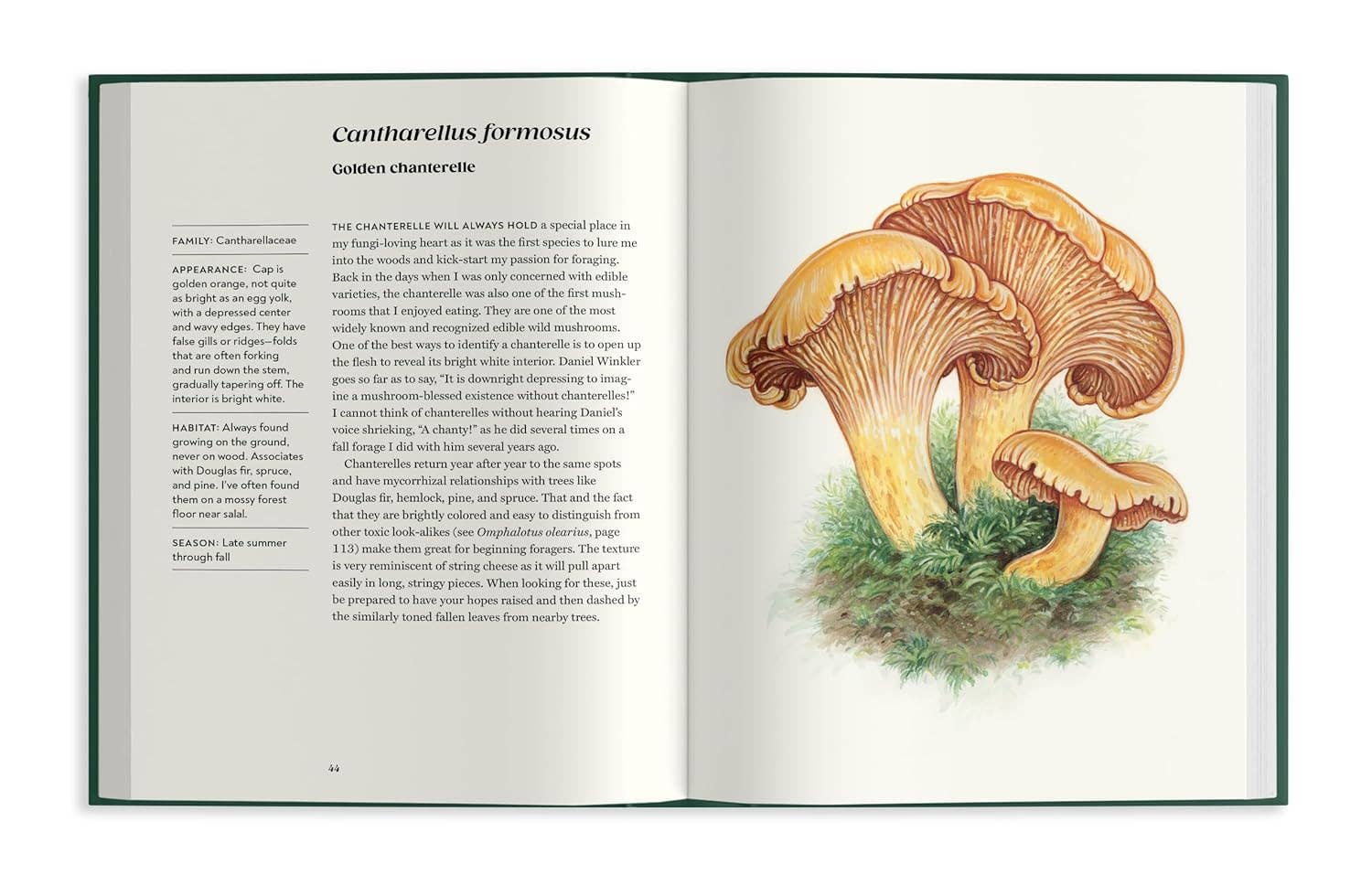 Field Notes from a Fungi Forager