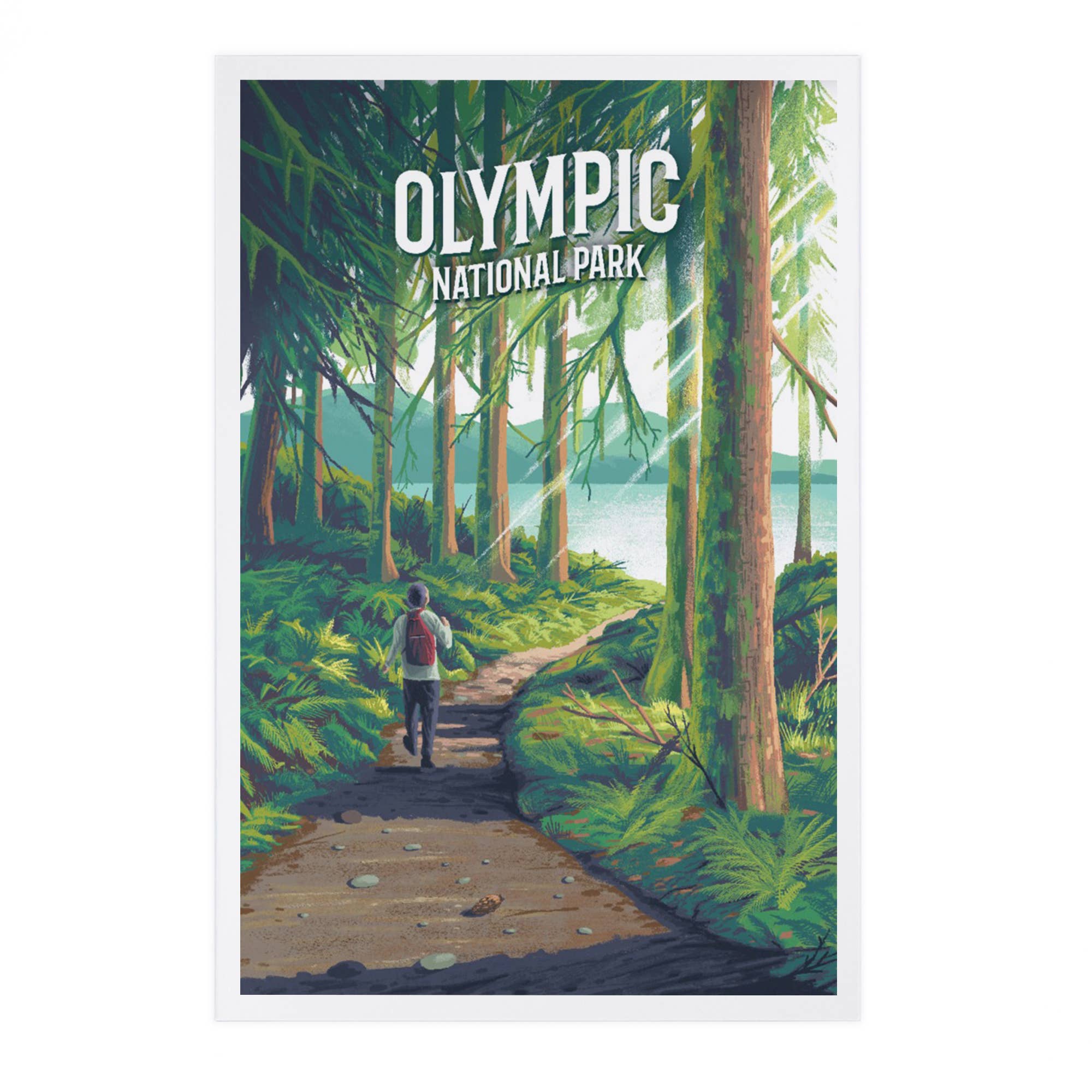 Olympic National Park, Walk in the Woods