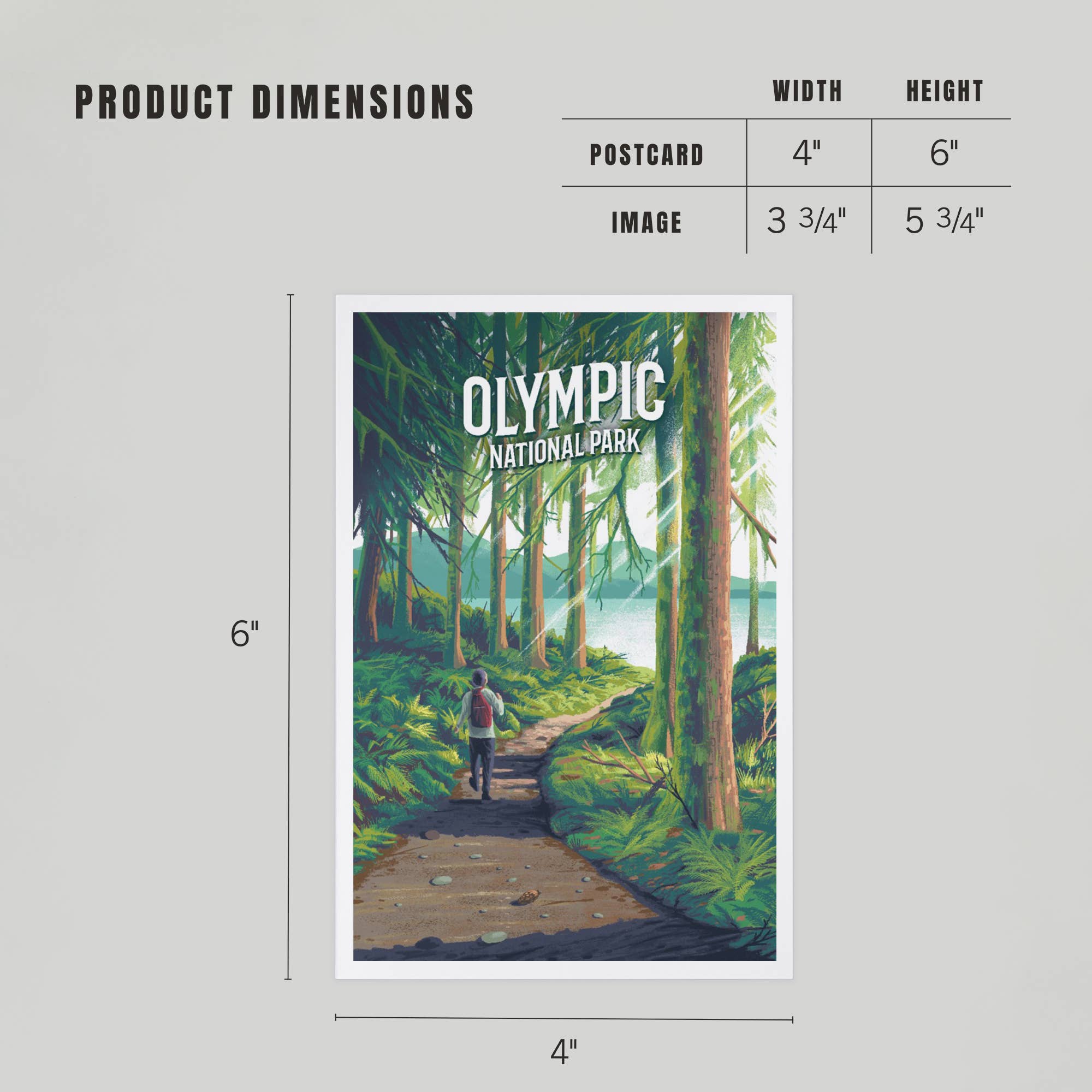 Olympic National Park, Walk in the Woods