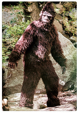 Bigfoot #2 3D Magnet