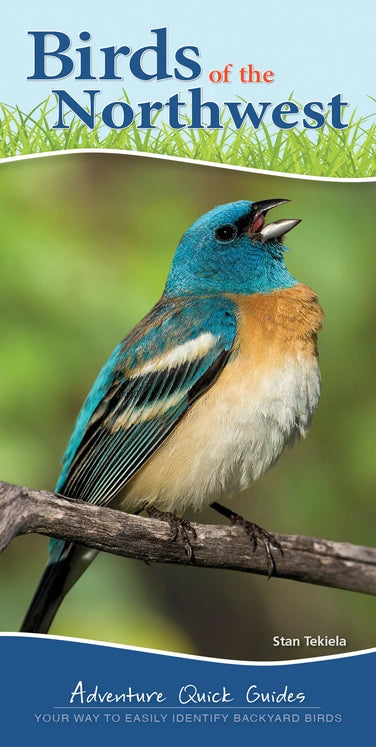 Birds of Northwest Quick Guide