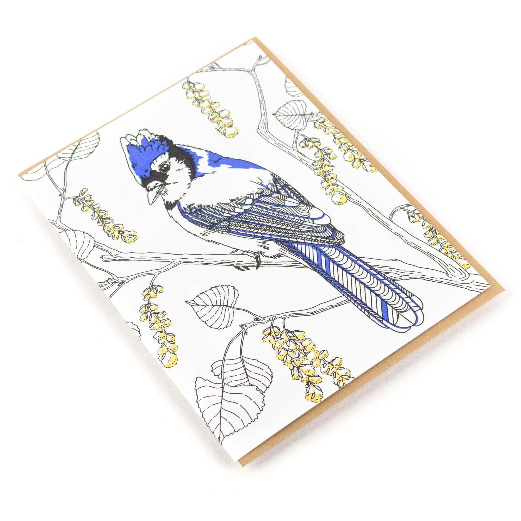 Card: Blue Jay Greeting Card - Nature Birds Collection: Single Card