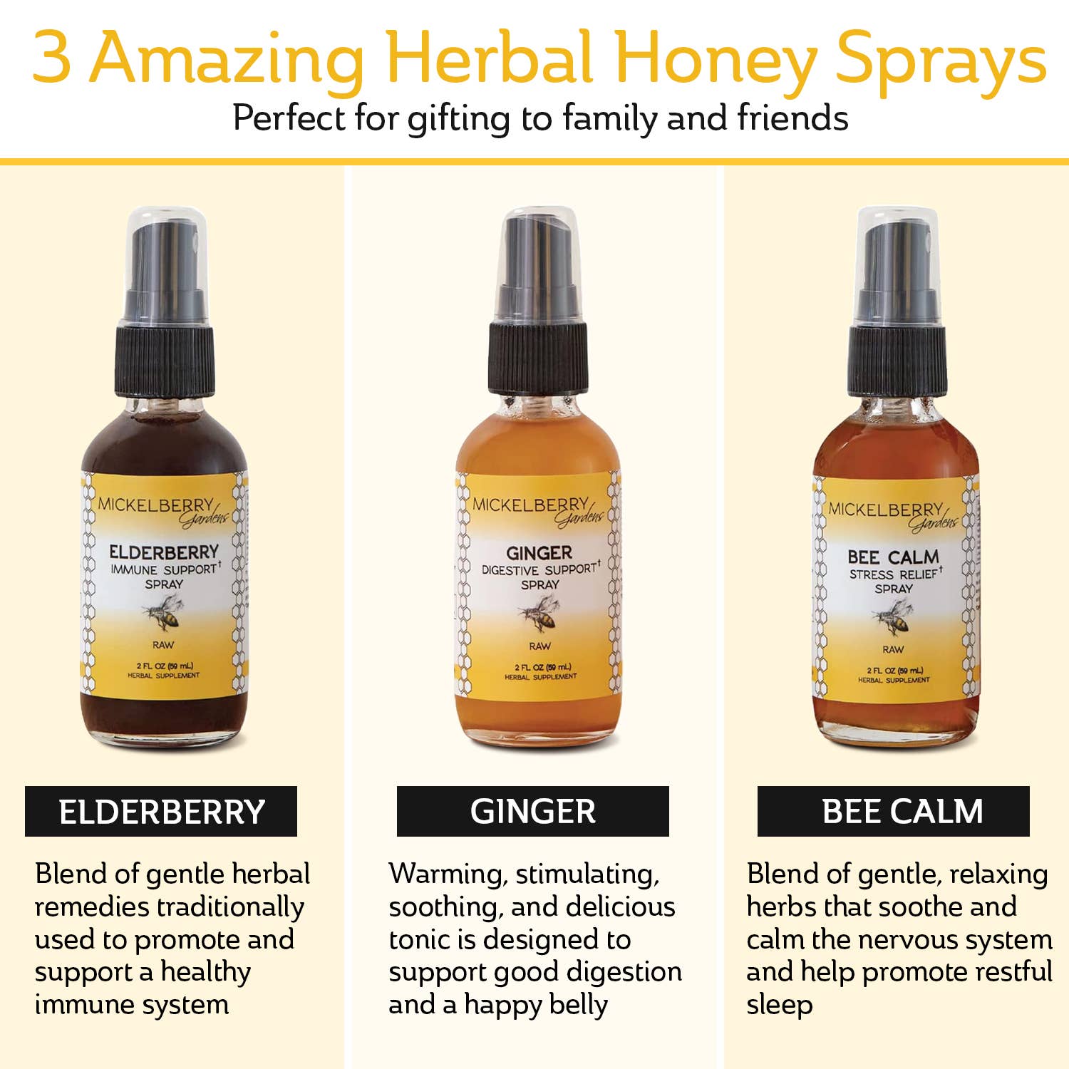 Essential Gift Set — all-day wellness for the whole family