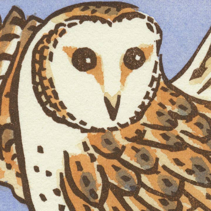 Barn Owl Card: Individual