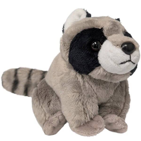 Canned Jimothy the Short Spined Raccoon Seattle Viral Hit: Pop Top Lid