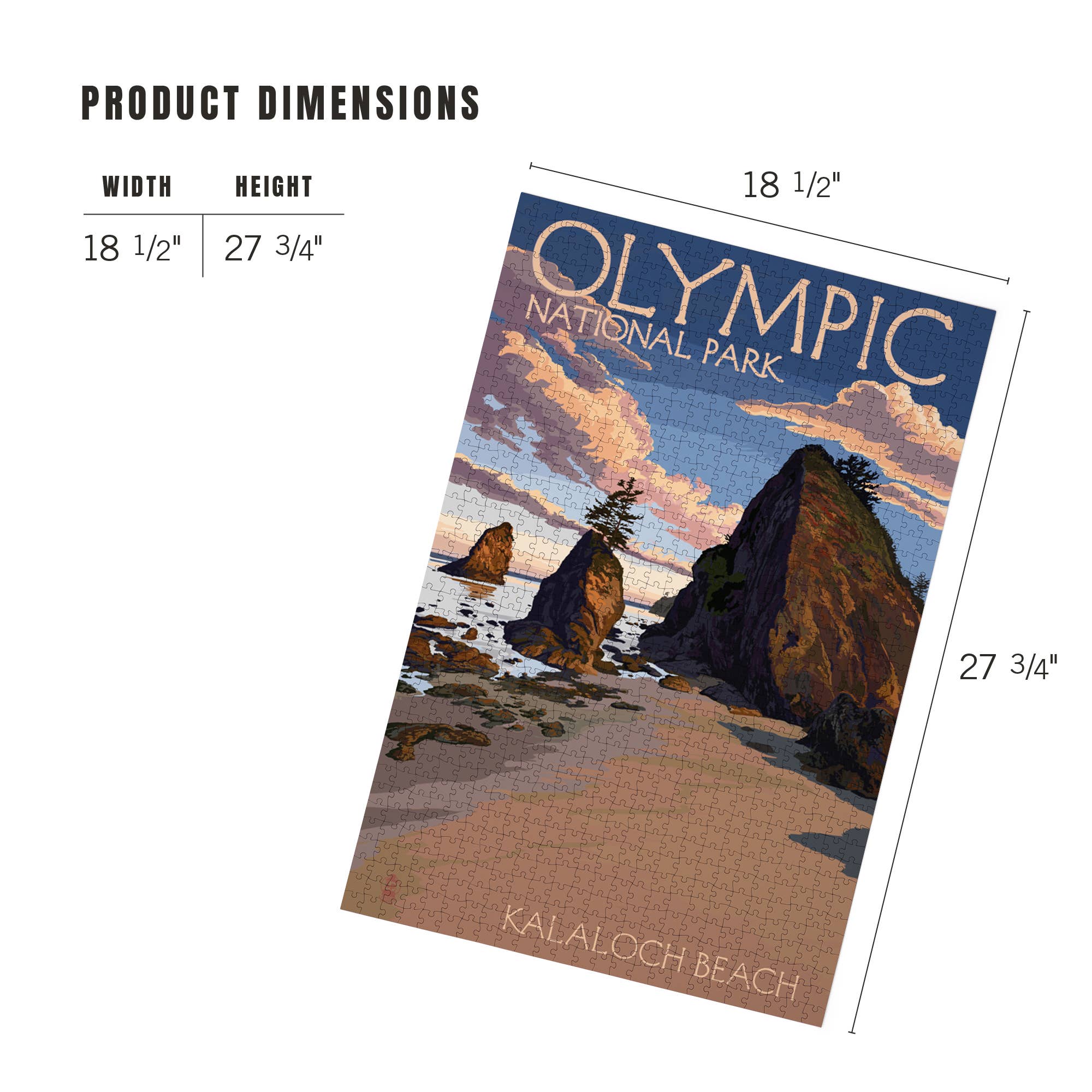 1000 PIECE PUZZLE Olympic National Park Kalaloch Beach