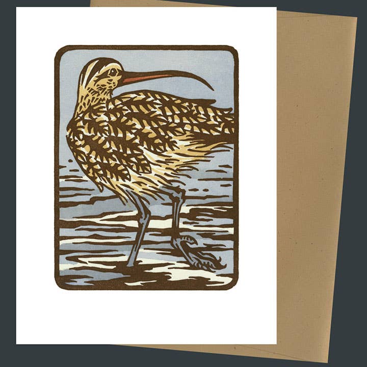 Long-Billed Curlew Card: Individual