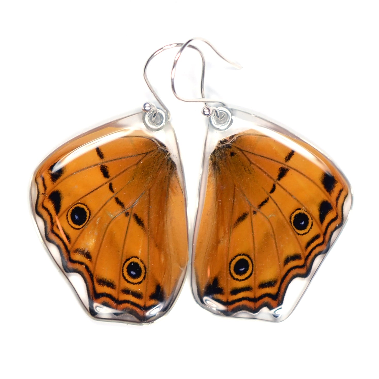 Butterfly Earrings - Cramer's Cruiser - Bottom Wings