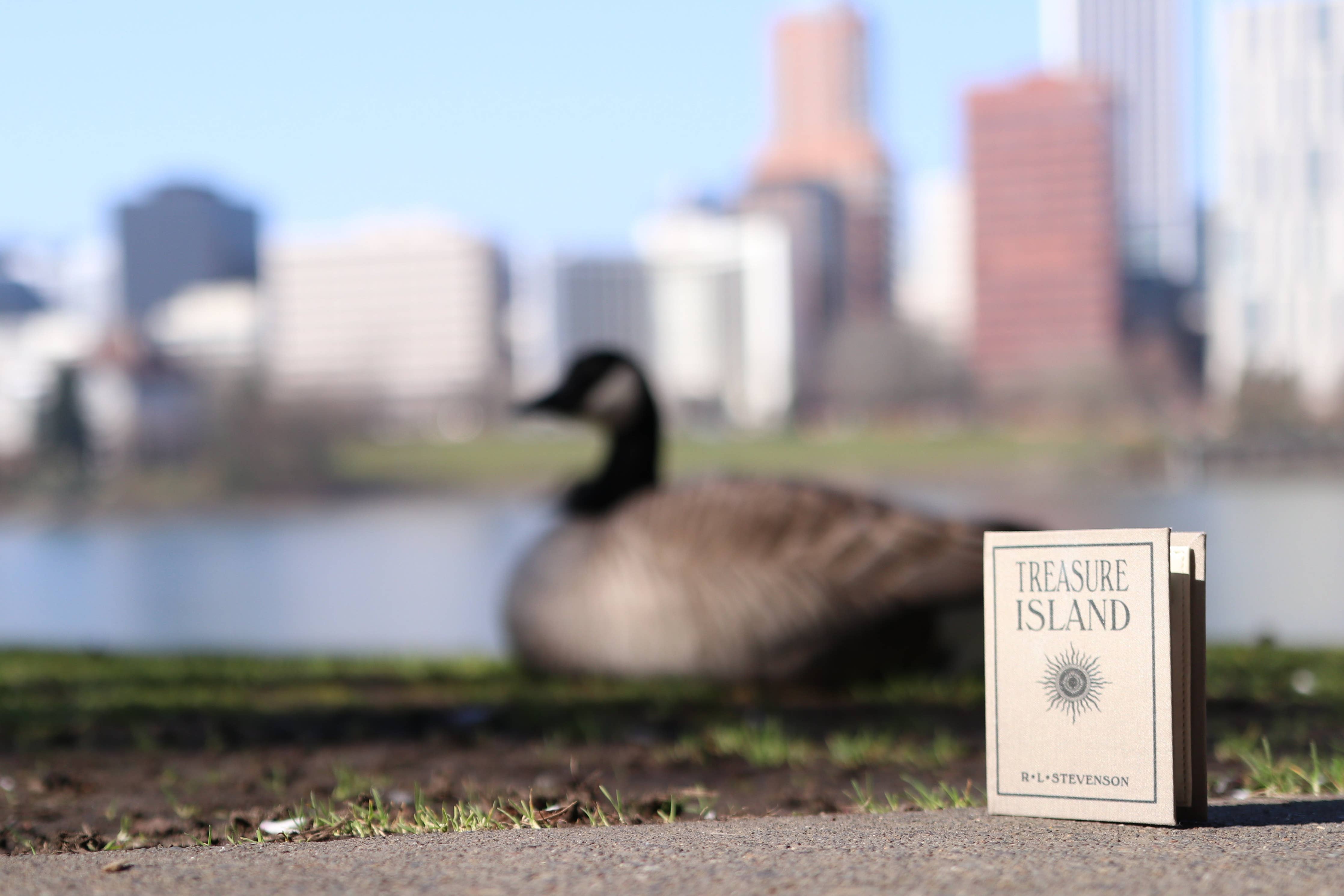 Treasure Island by Robert Louis Stevenson 1883  Book Wallet