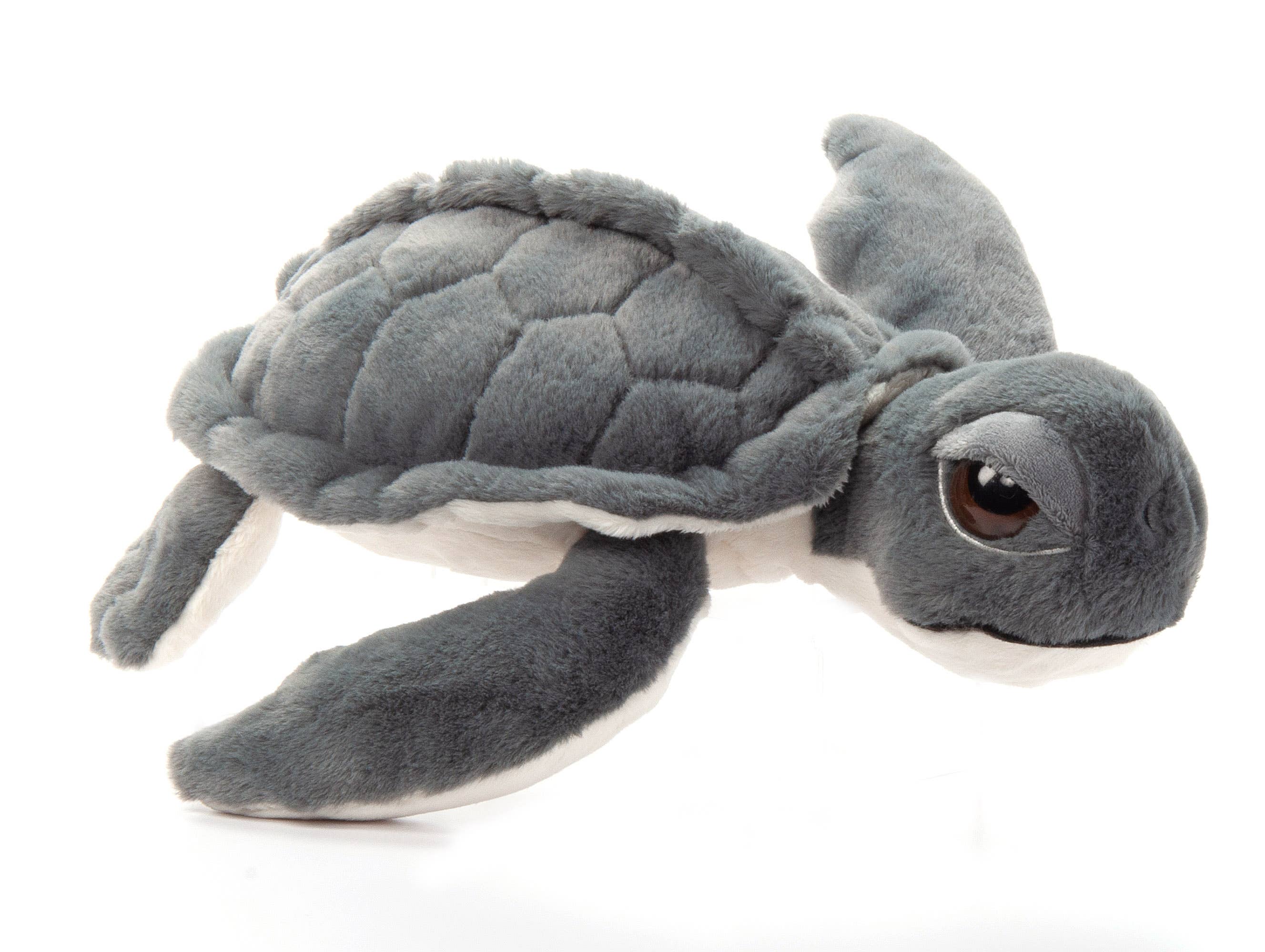 Wild Onez Kemp Sea Turtle small 10"