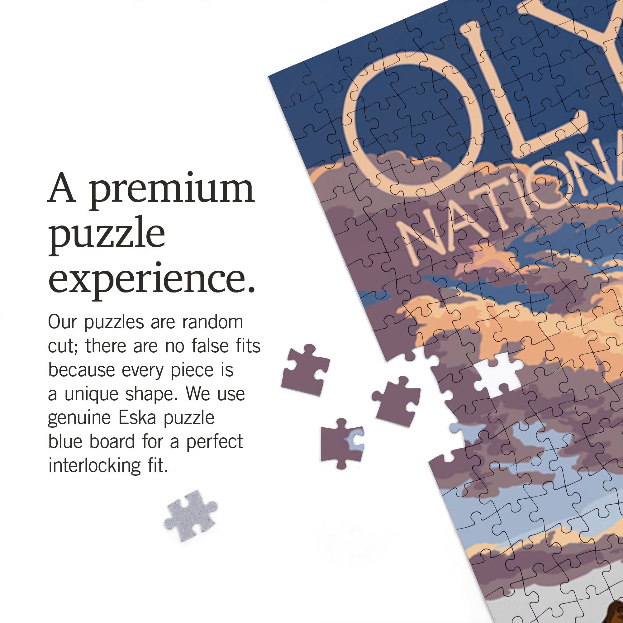 1000 PIECE PUZZLE Olympic National Park Kalaloch Beach