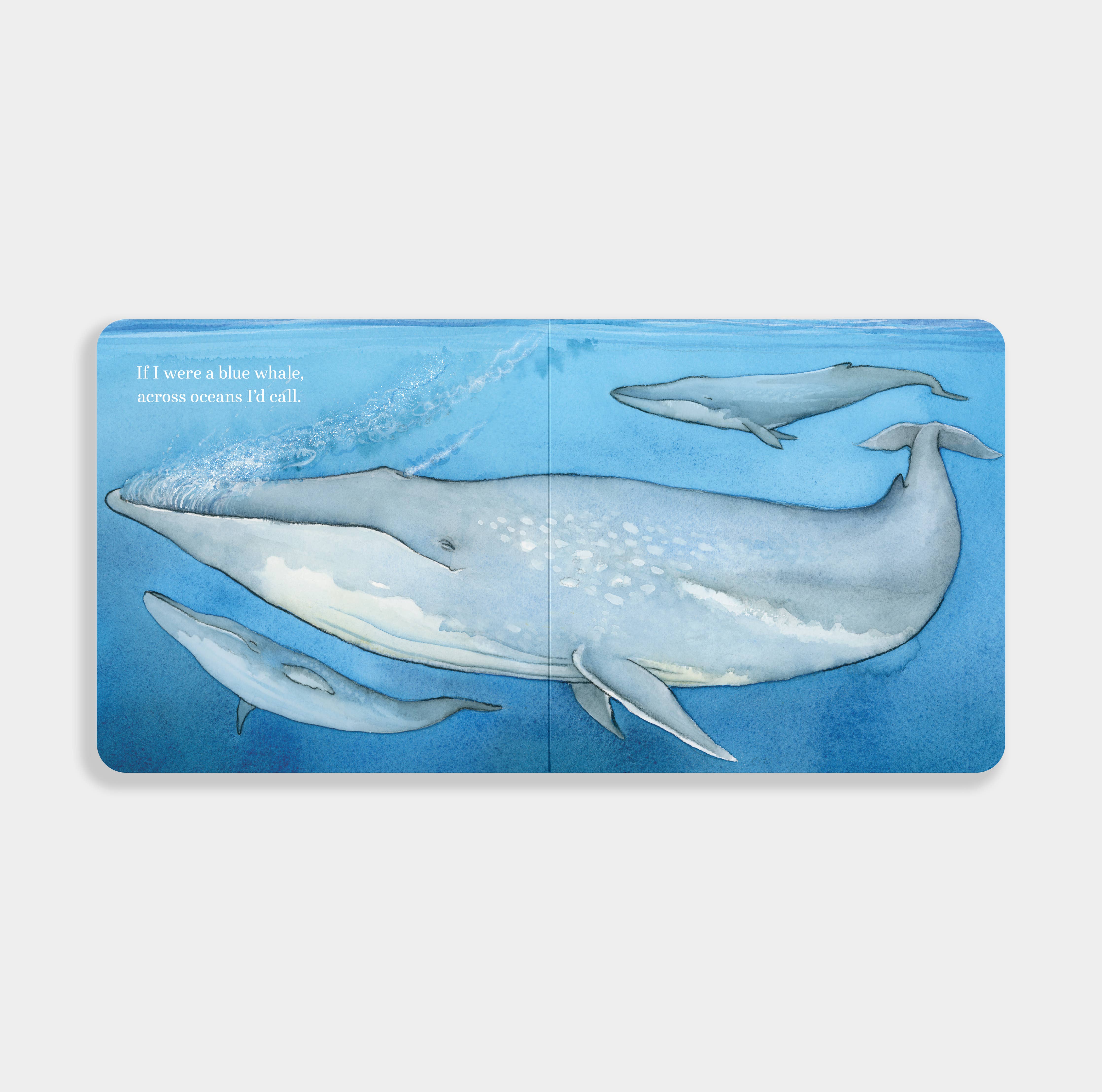 If I Were a Whale: A Board Book for Toddlers
