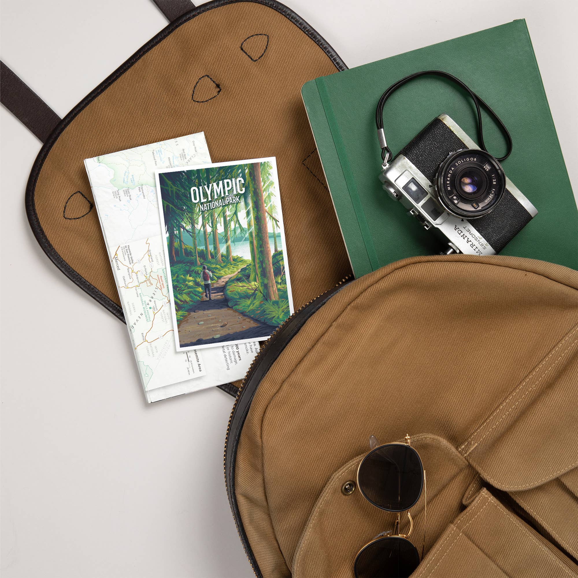 Olympic National Park, Walk in the Woods