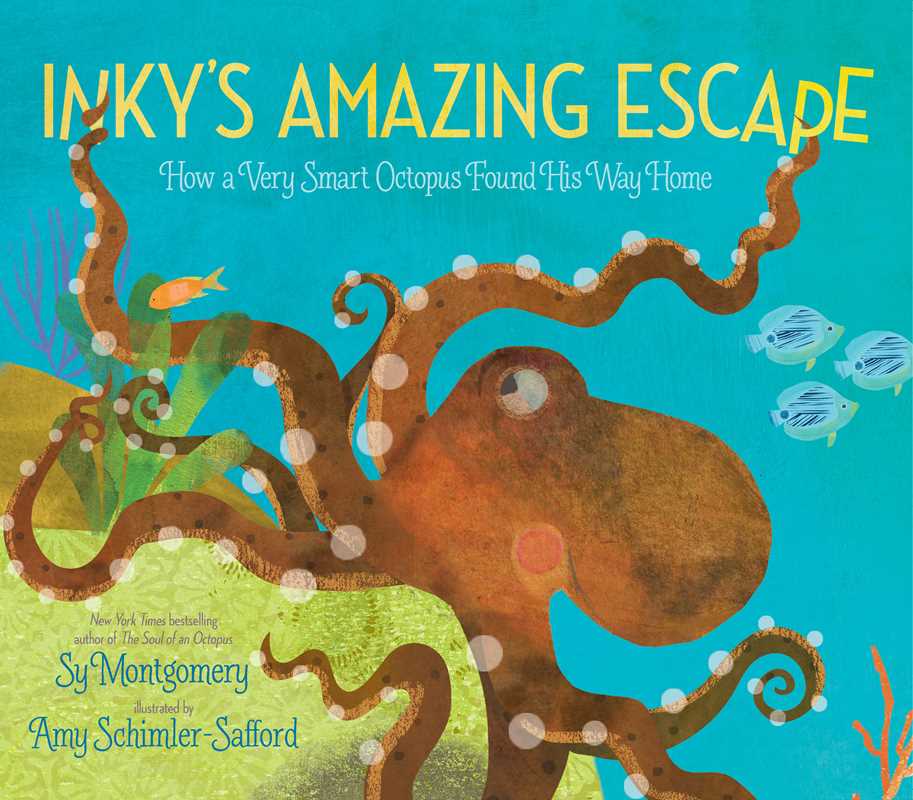 Inky's Amazing Escape by Sy   Montgomery: Paperback; 32 pages / English